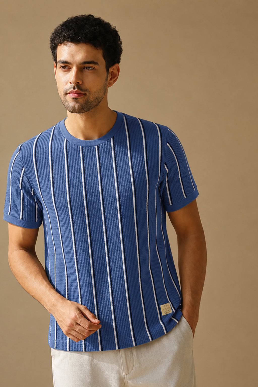 Men Round Neck Vertical Stripes Half Sleeves T-Shirt