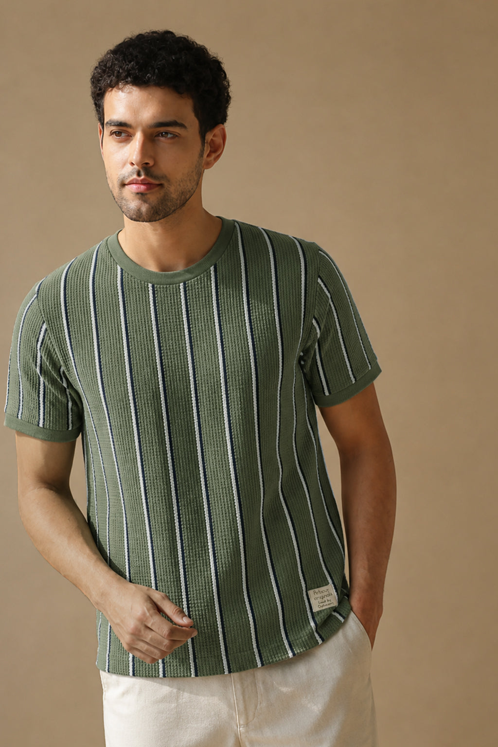 Men Round Neck Vertical Stripes Half Sleeves T-Shirt