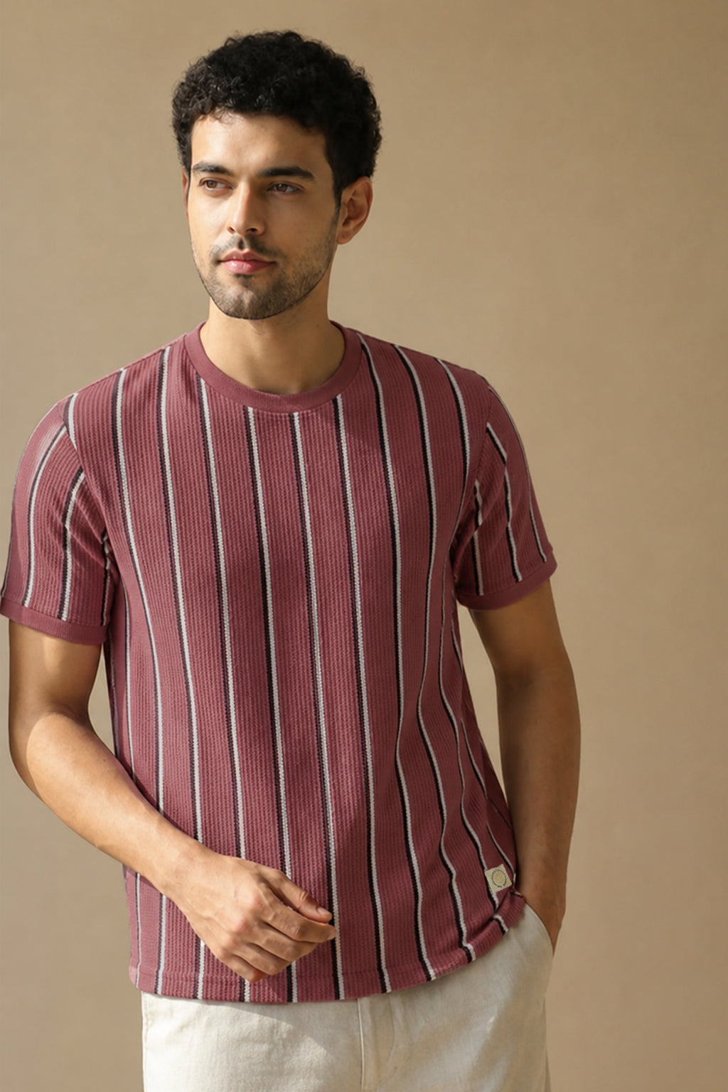 Men Round Neck Vertical Stripes Half Sleeves T-Shirt