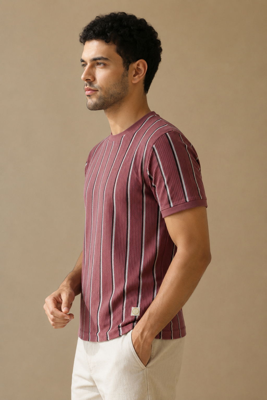 Men Round Neck Vertical Stripes Half Sleeves T-Shirt