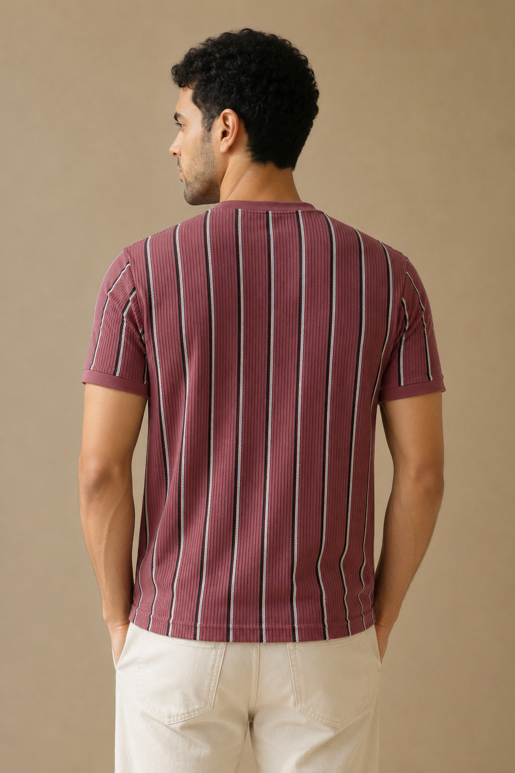 Men Round Neck Vertical Stripes Half Sleeves T-Shirt