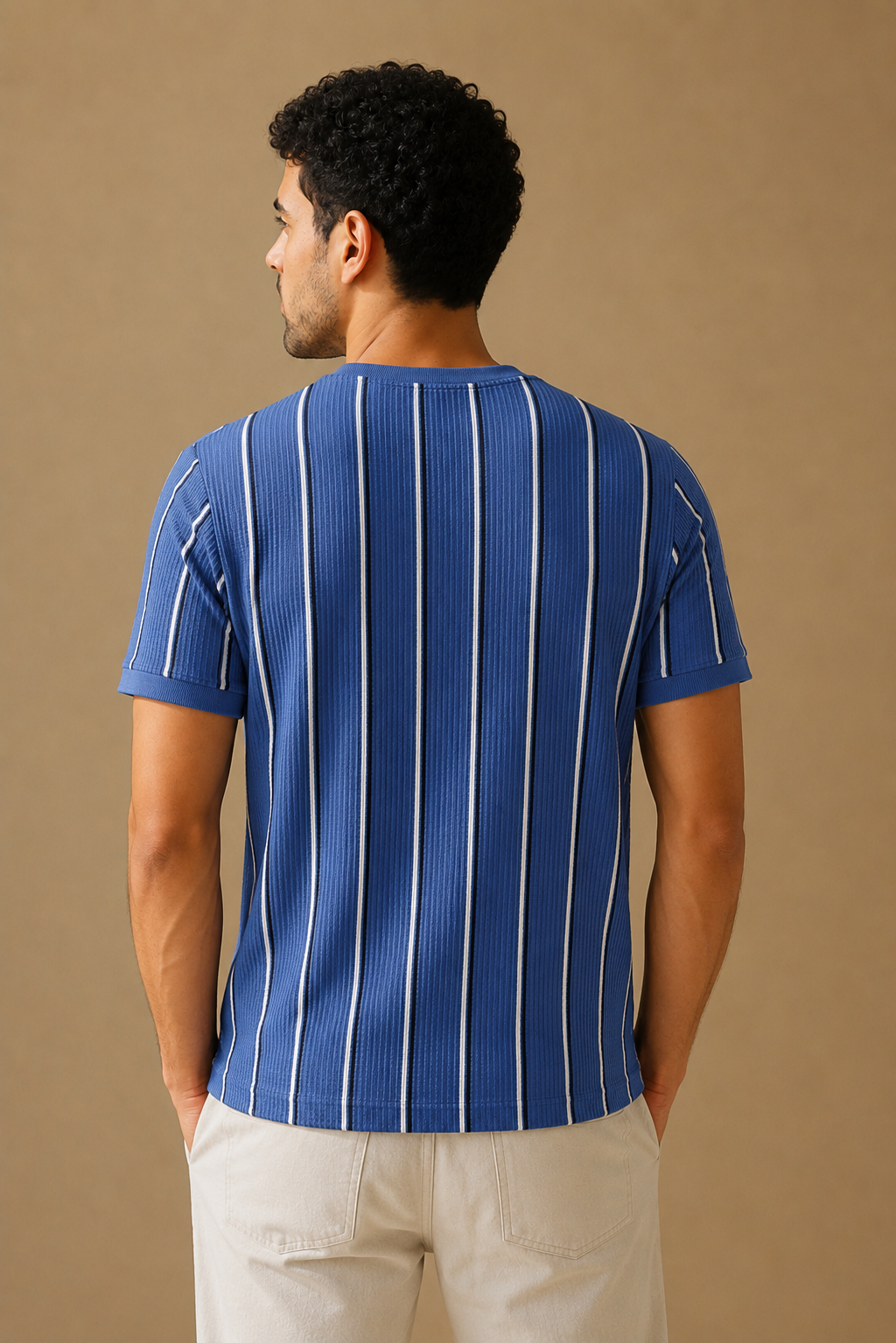 Men Round Neck Vertical Stripes Half Sleeves T-Shirt