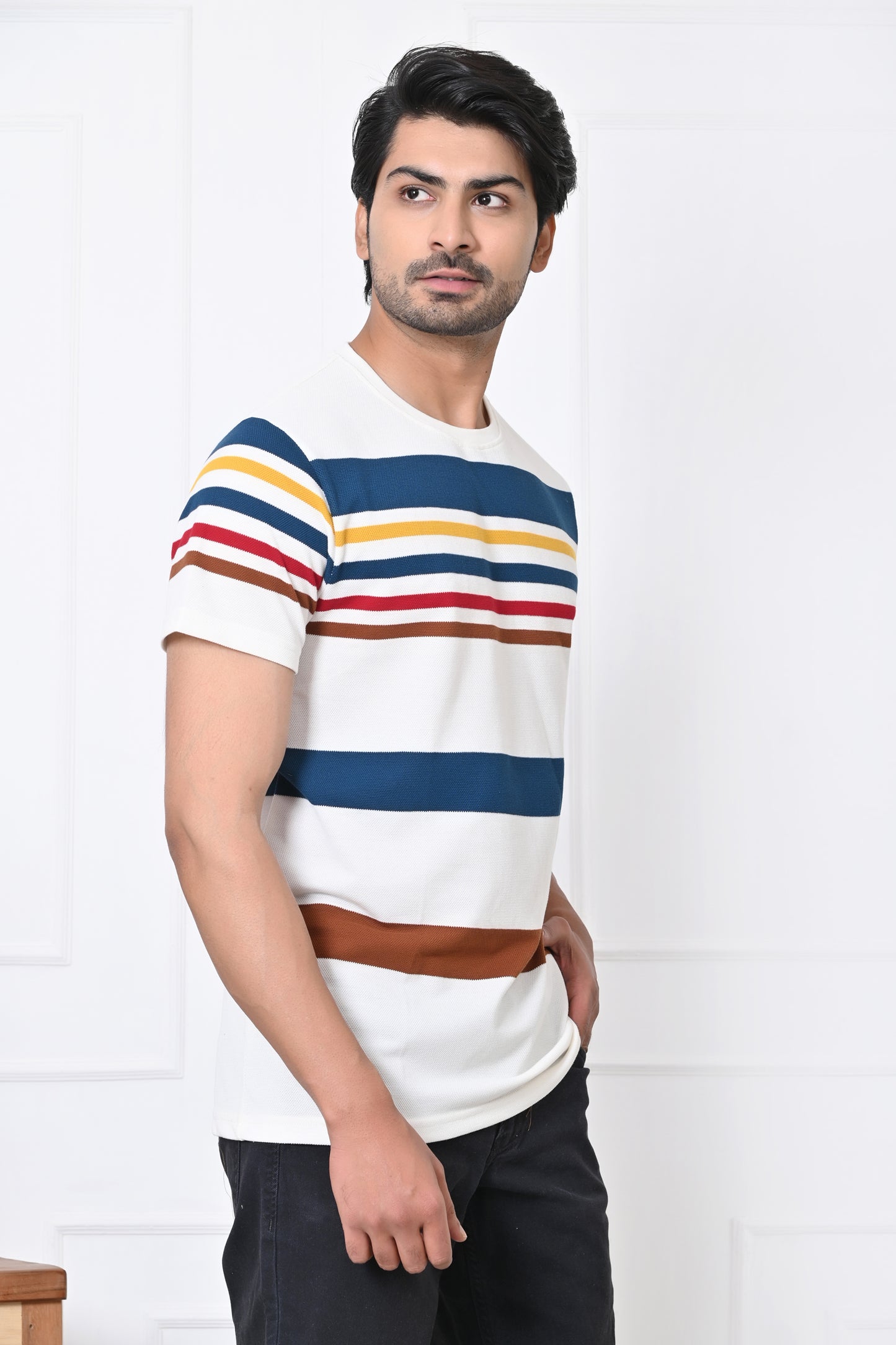 Men Round Neck Stripes Half Sleeves T-Shirt