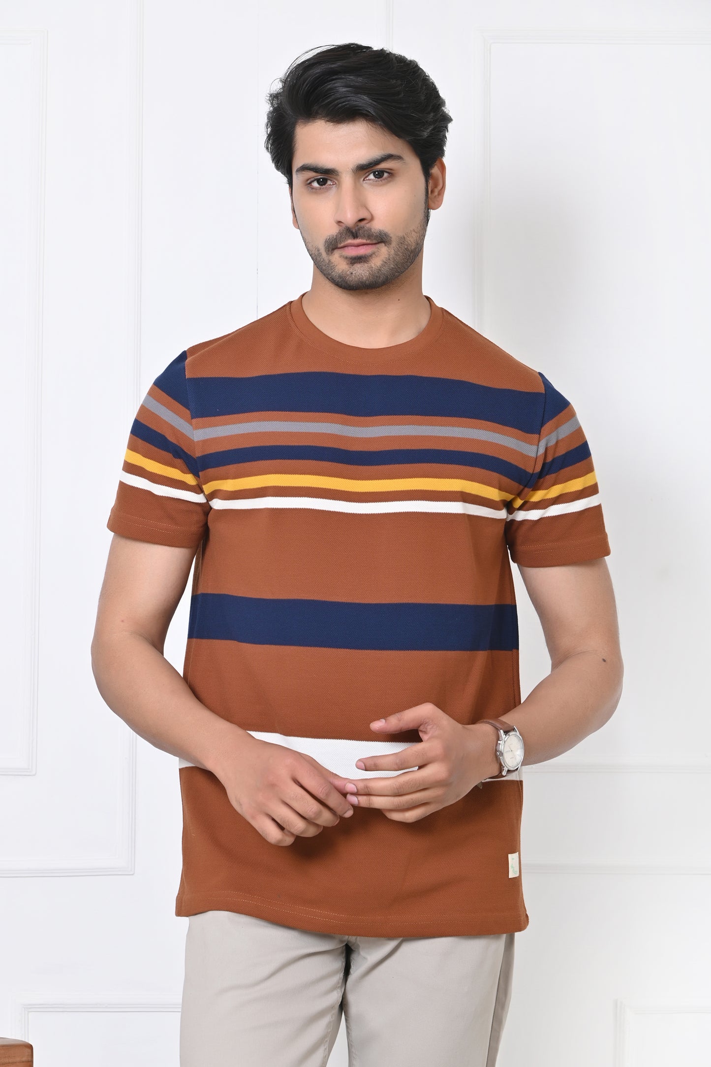 Men Round Neck Stripes Half Sleeves T-Shirt
